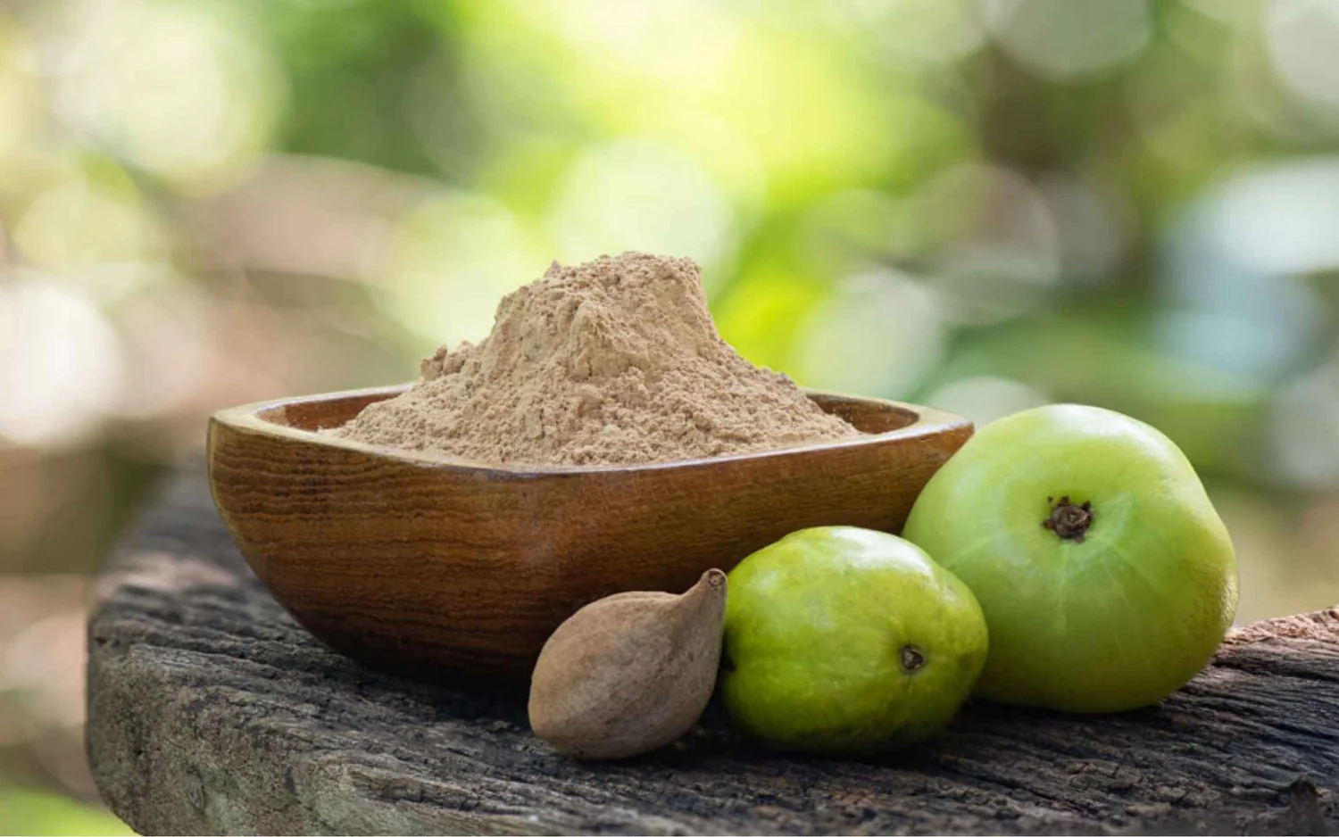 Triphala in dyslipidemia-related hypertension: pharmacological and clinical perspectives